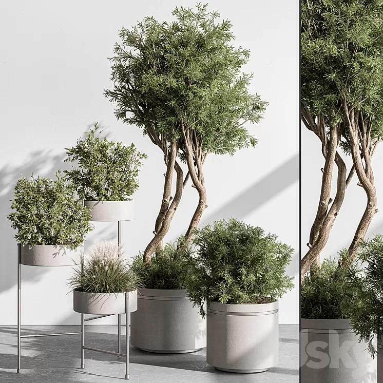 indoor Plant 433 - Tree and Bush 3D Model Free