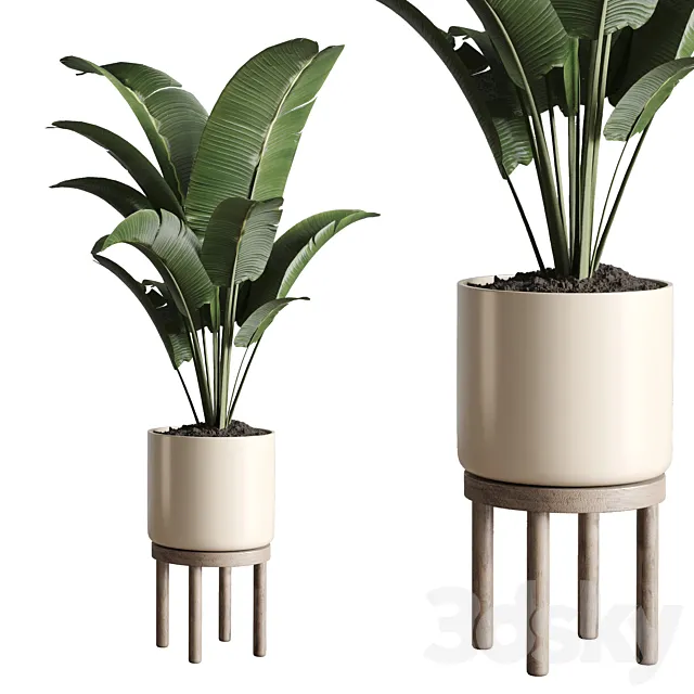 Indoor plant 48 vase wood 3DModel