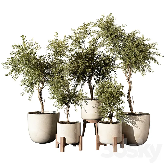 indoor Plant 520 Free Download