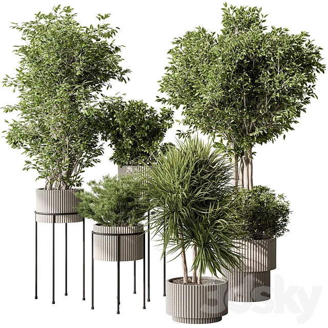 Indoor Plant 532 -Tree in Pot 3D Model
