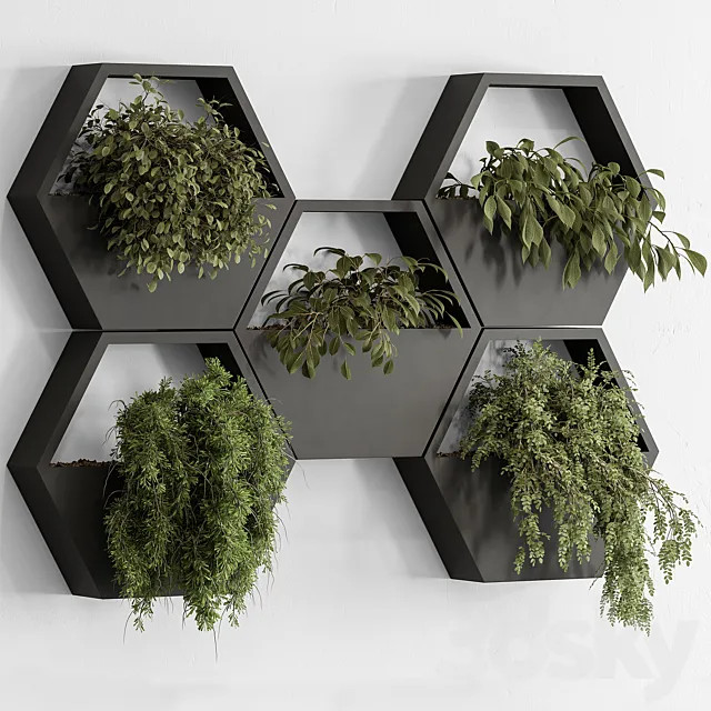 indoor Plant 536 - Hanging Plants 3D Model