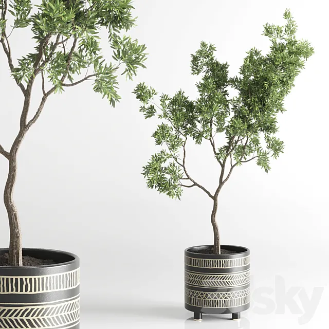 Indoor plant 56 vase handmade pottery plant tree pot 3DModel