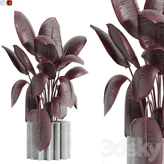 Indoor plant 65 3D Model