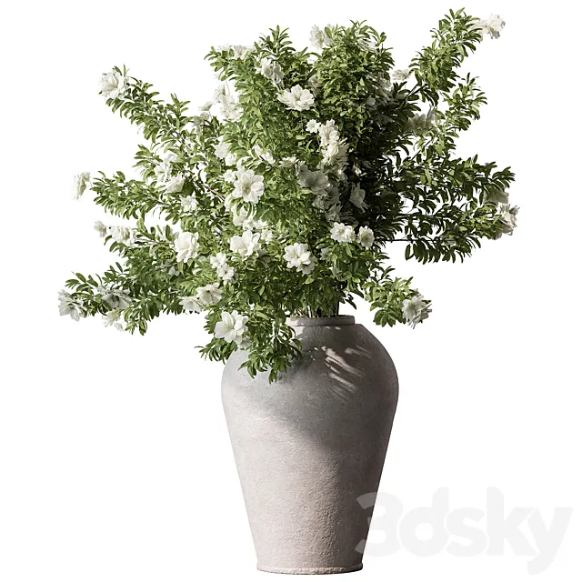 Indoor Plant 737 - Flower Bush 3D Model