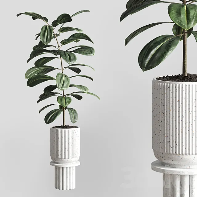 Indoor plant 79 pot plant concrete vase 3DModel