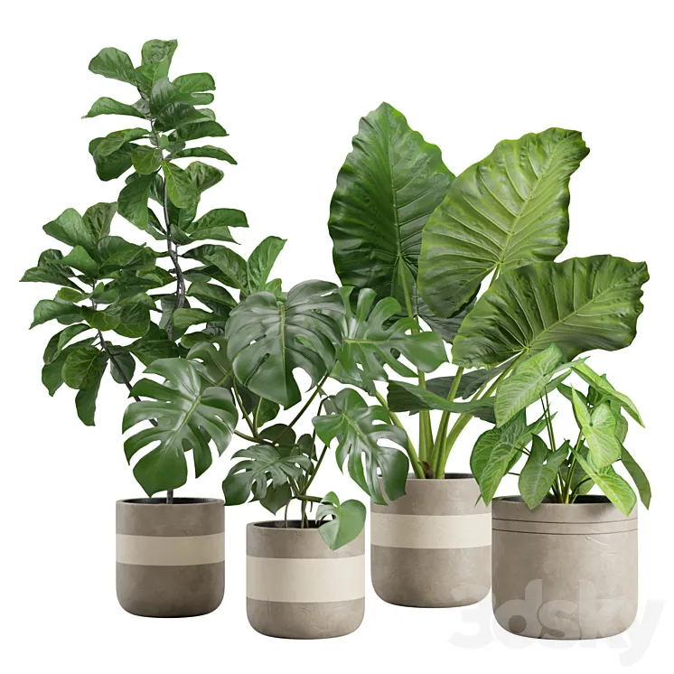 Indoor Plant Pack 21 3D Model Free