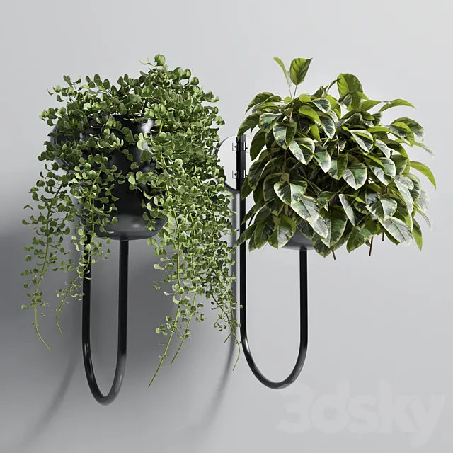 Indoor plant plant wall metal vase 01 3D Model