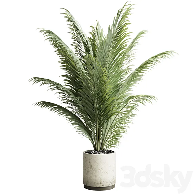 indoor plant pot palm concrete dirt vase 220 3DModel