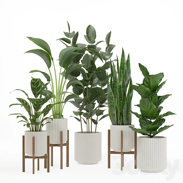 indoor plant set 003 Free Download