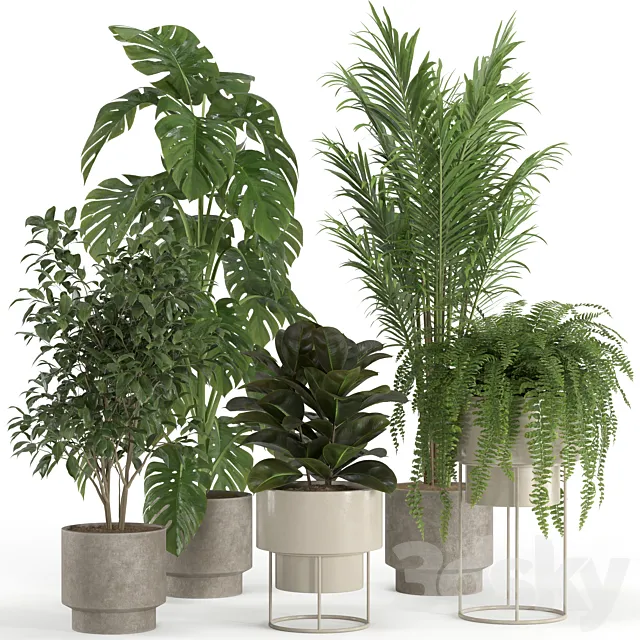 indoor plant set 021 3D Model