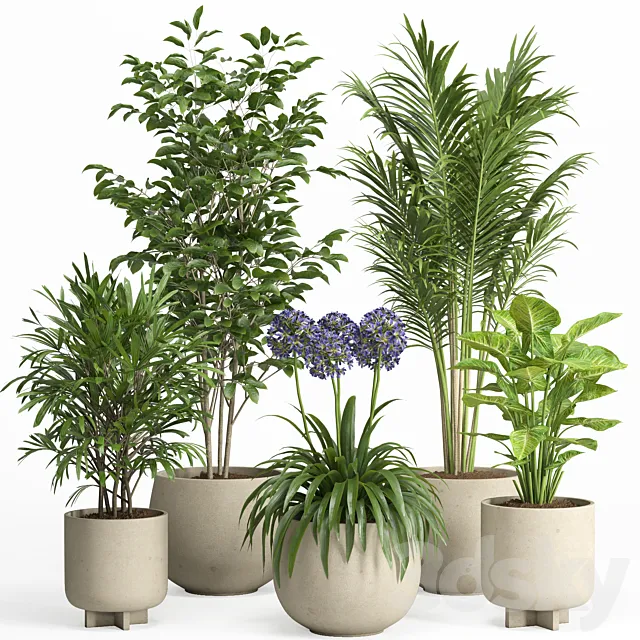 indoor plant set 026 Free Download