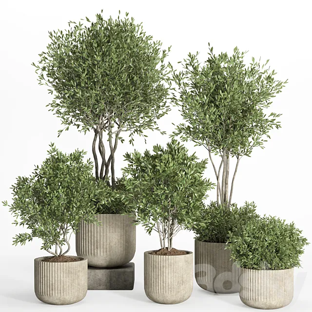 indoor plant set 034 3D Model