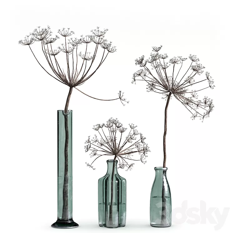 Indoor Plant Set 04-dry plants in glass vase 3D Model