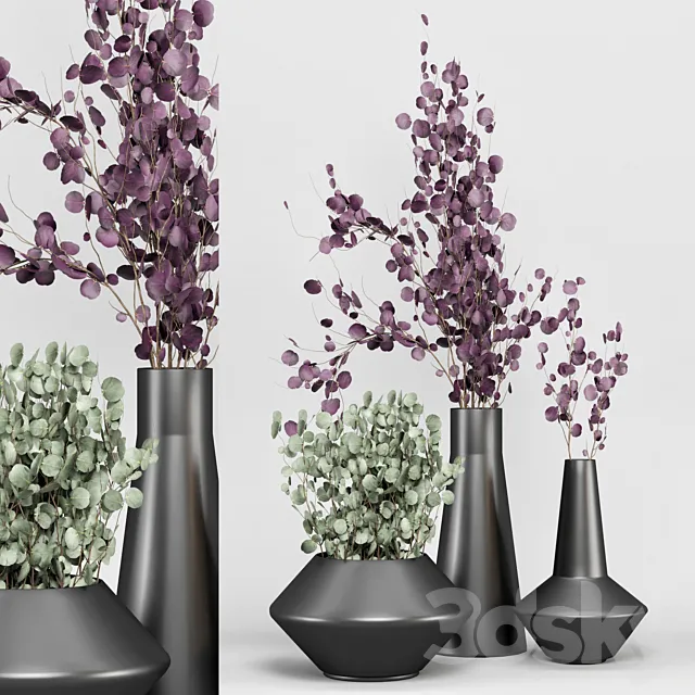 indoor Plant Set 04 - Eucalyptus bouquet 3D Model