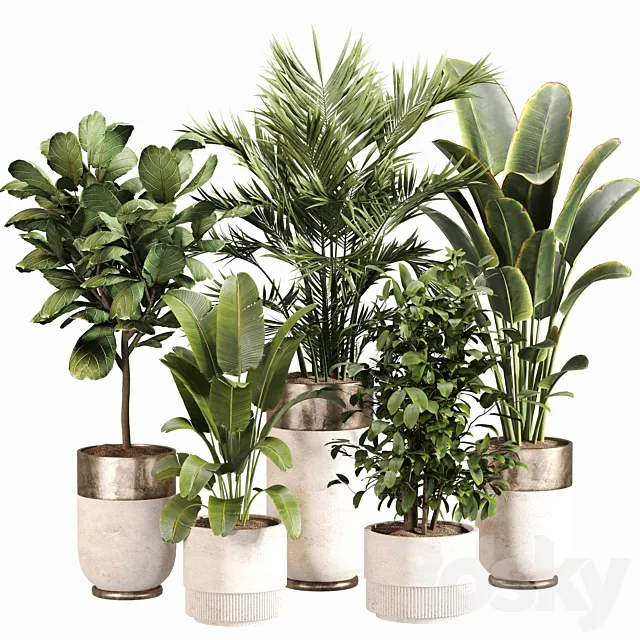 Indoor Plant Set 052 3D Model