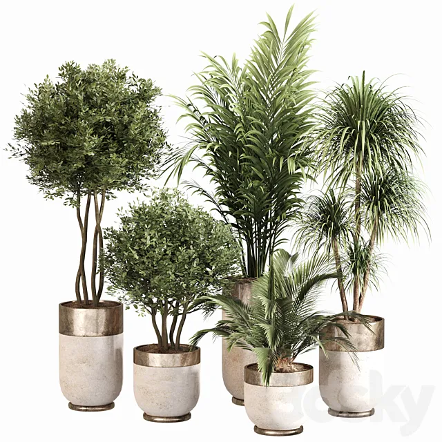 Indoor Plant Set 053 3D Model
