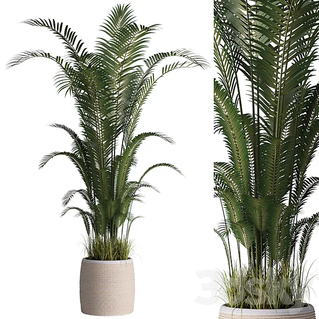Indoor plant set 07 3D Model