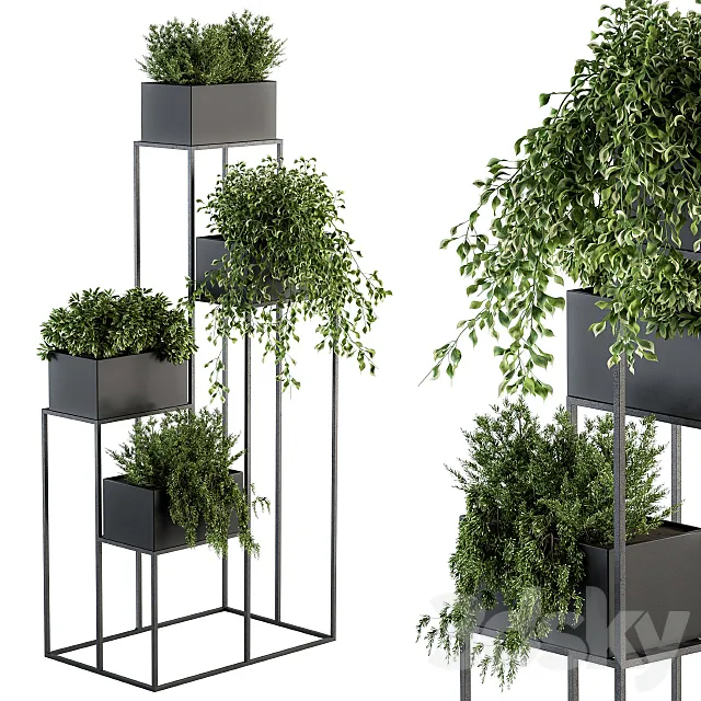 indoor Plant Set 100 - Black stand 3DModel