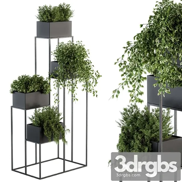 Indoor plant set 100 - black stand