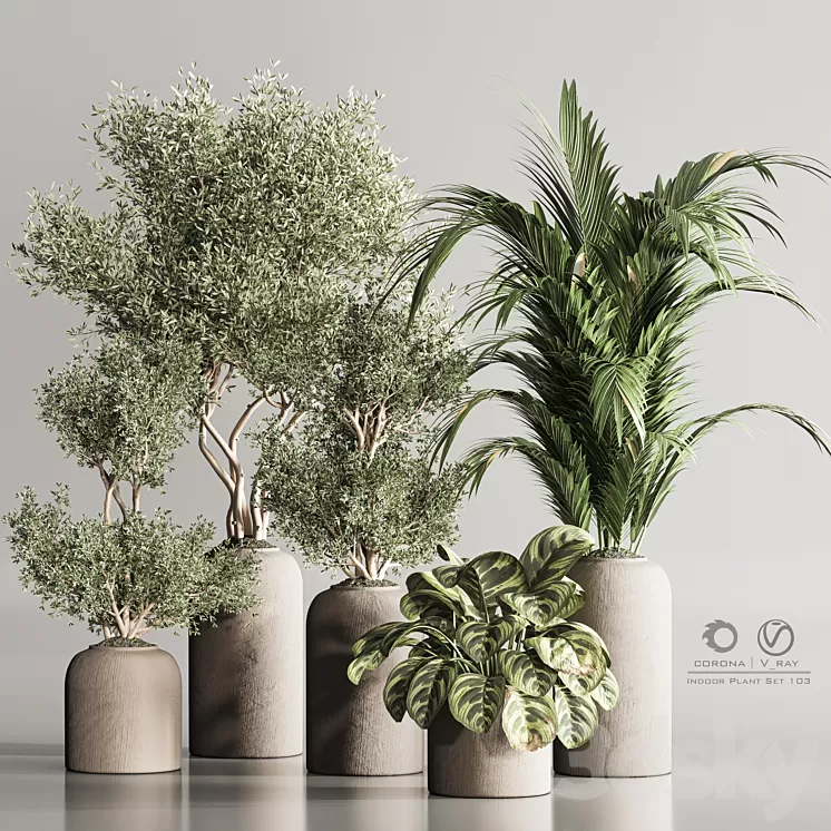 Indoor Plant Set 103 3D Model Free