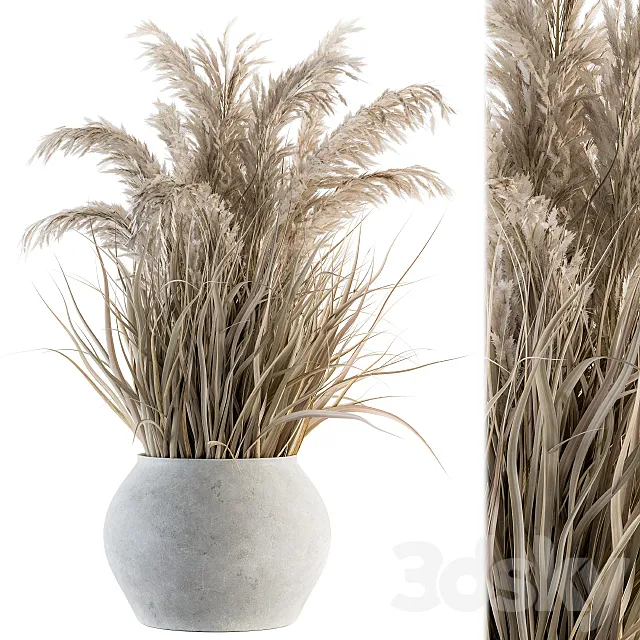 indoor Plant Set 115 - Dried Plant 3D Model