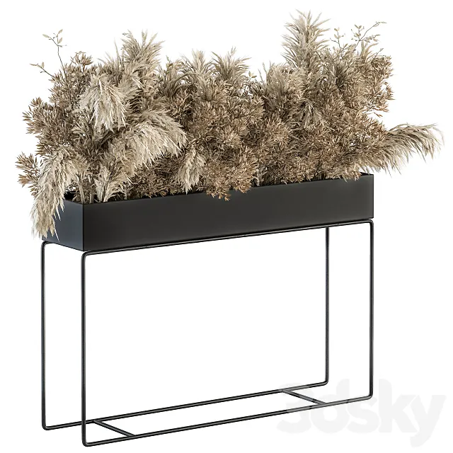 indoor Plant Set 117 - Dried Plant box 3D Model