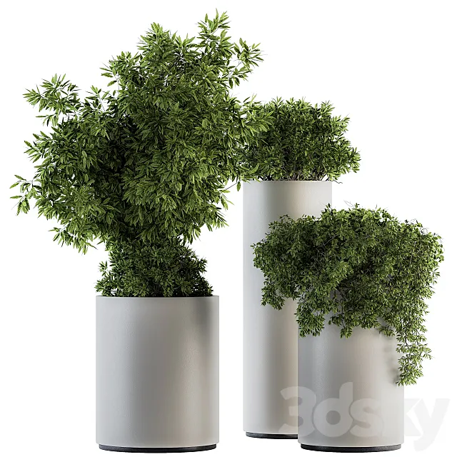 indoor Plant Set 120 - Green and White Set 3DModel