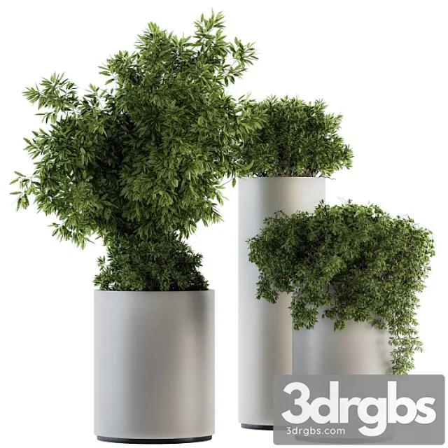 Indoor plant set 120 - green and white set