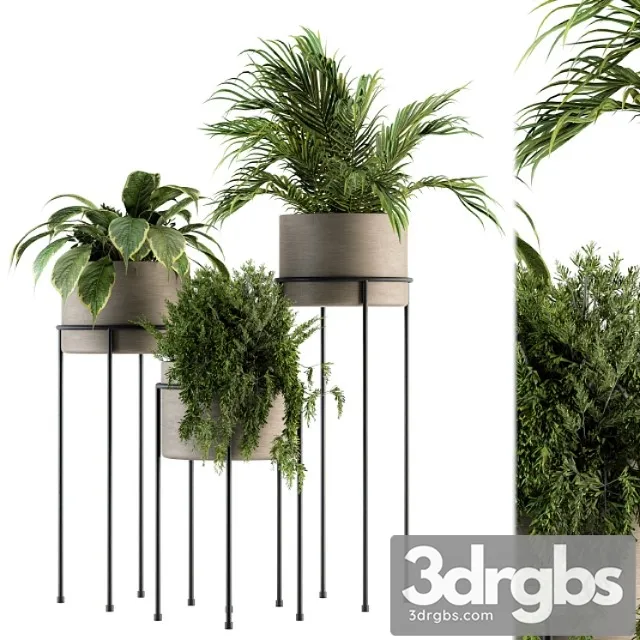 Indoor plant set 129 - plant stand