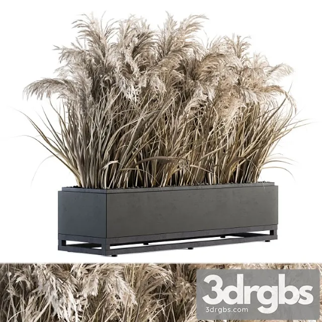Indoor Plant Set 131 Dried Plant Box 3D Model Free