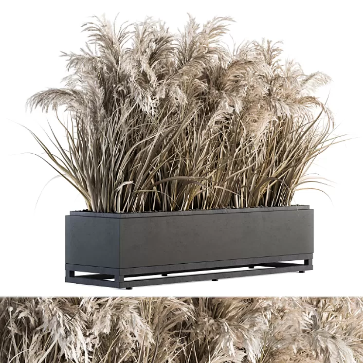 indoor Plant Set 131 - Dried Plant box 3D Model