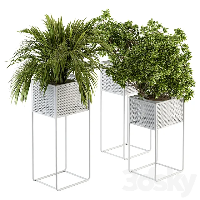 indoor Plant Set 174 - Plant in stand box 3DModel