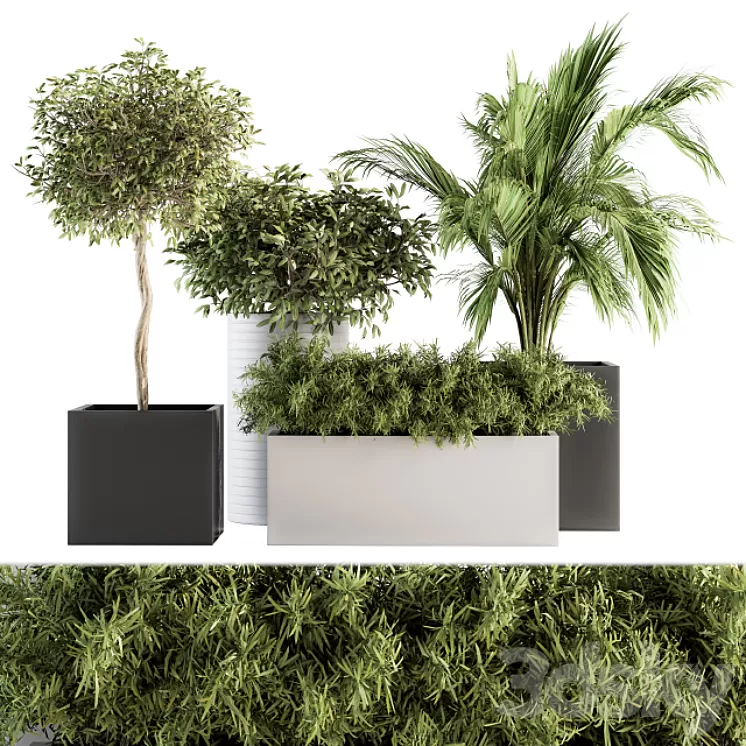 indoor Plant Set 188 - Plant Boxes 3D Model