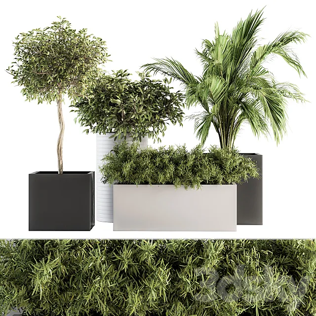 indoor Plant Set 188 - Plant Boxes 3DModel