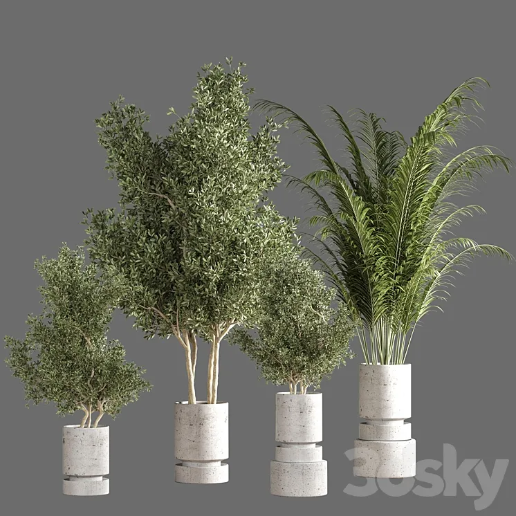 indoor plant set 19 3D Model Free