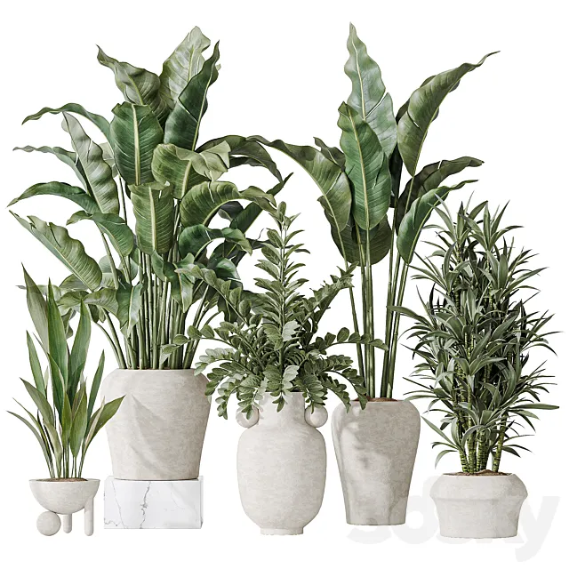 Indoor plant set 21 3D Model