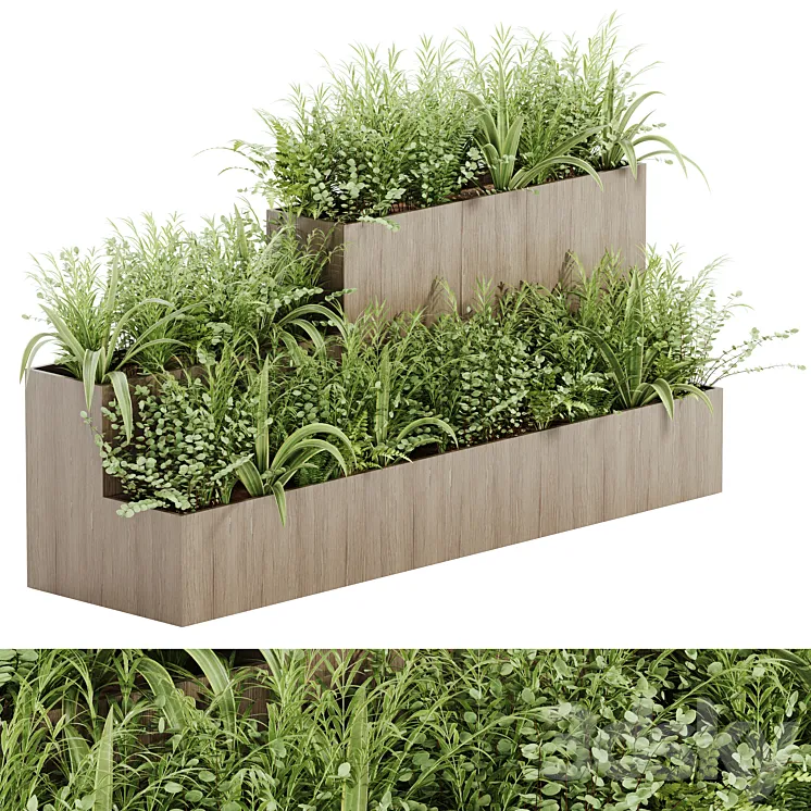 indoor plant Set 21 3D Model Free