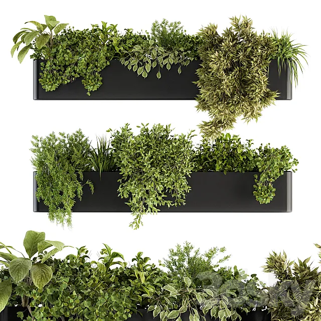 indoor Plant Set 210 - Hanging Plants 3D Model