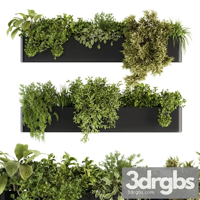 Indoor plant set 210 - hanging plants