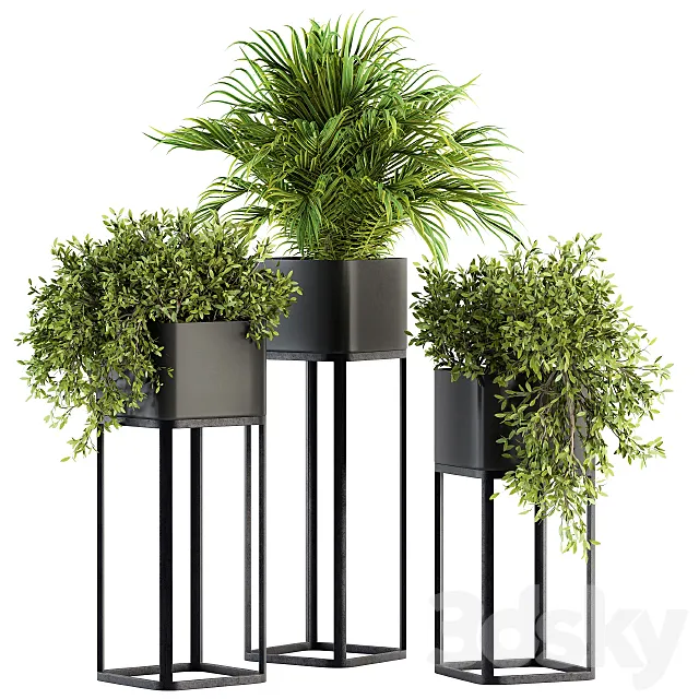 indoor Plant Set 211 - Plant Box Stand 3DModel