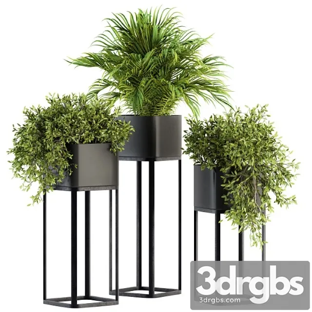 Indoor plant set 211 - plant box stand
