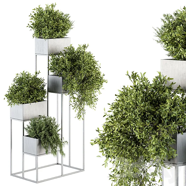 indoor Plant Set 213 - Silver Plant Stand 3DModel