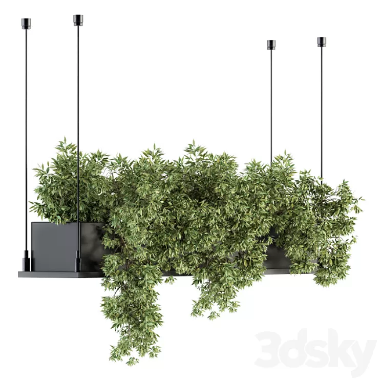 indoor Plant Set 217 - Hanging Plant Box 3D Model