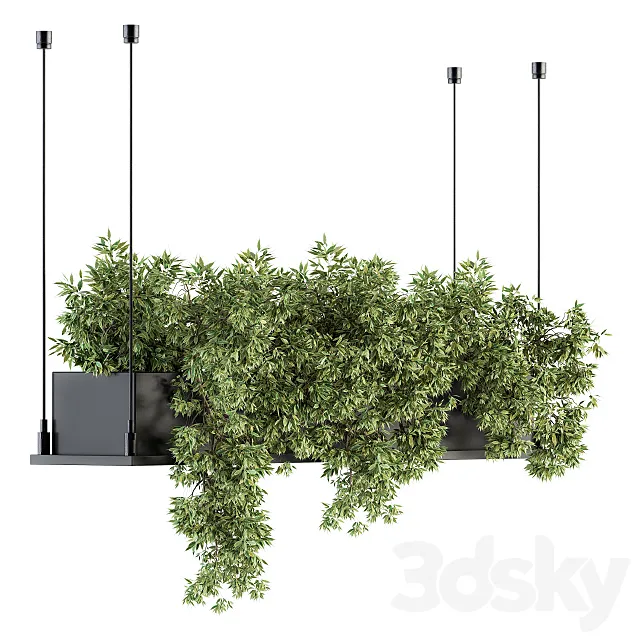 indoor Plant Set 217 - Hanging Plant Box 3DModel