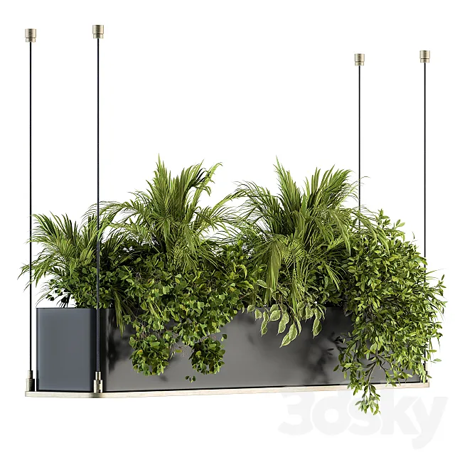 indoor Plant Set 218 - Hanging Plants 3D Model