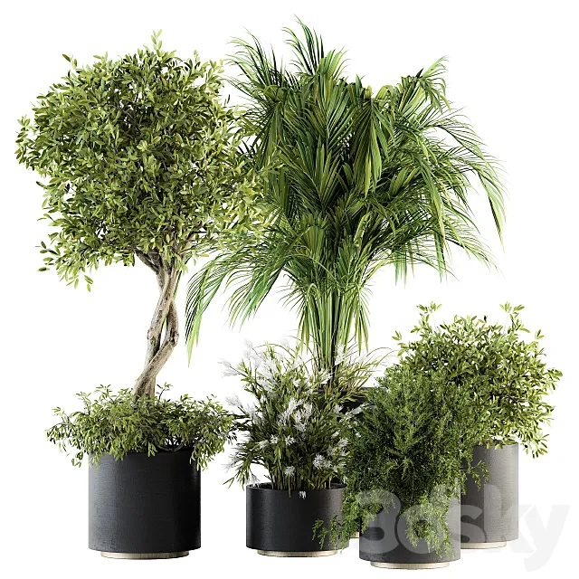 indoor Plant Set 222 - Plant Set in pot 3DModel