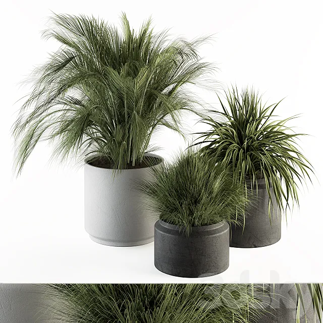 indoor Plant Set 223 - Plant Set in pot 3D Model