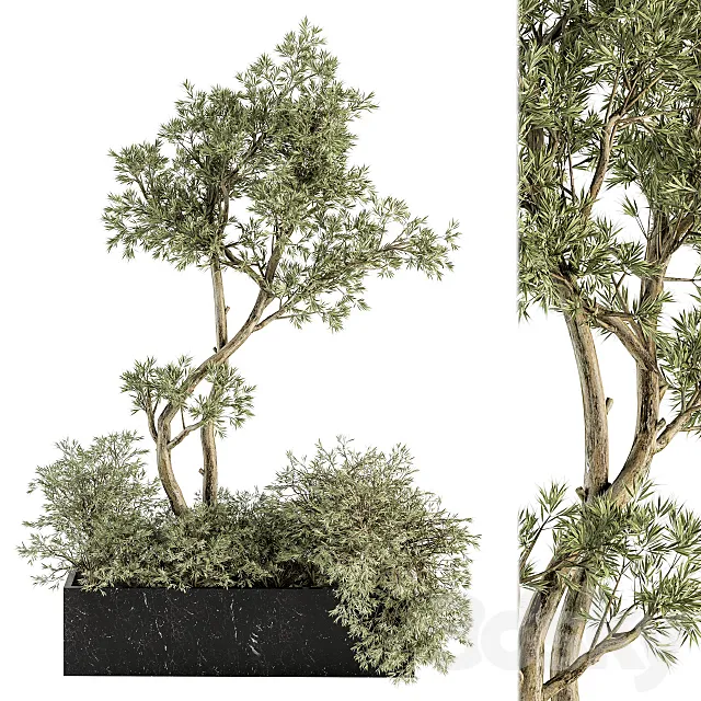 indoor Plant Set 226 - Plant in Marble Box 3D Model