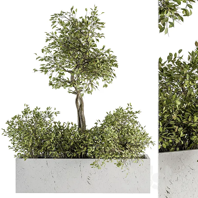 indoor Plant Set 235 - Plant Set in Box 3D Model