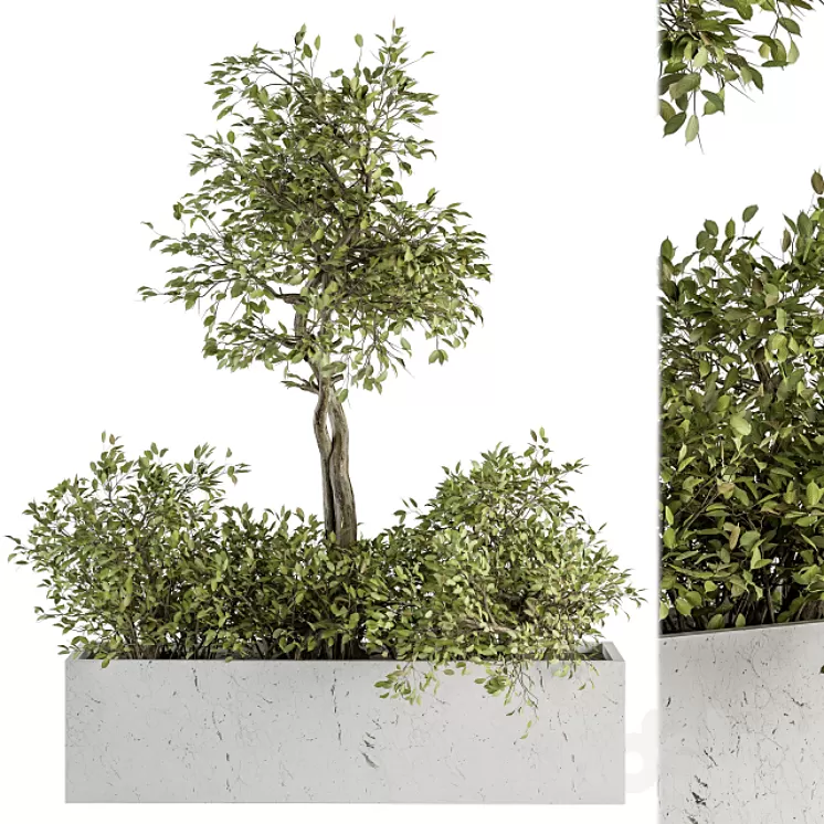 indoor Plant Set 235 - Plant Set in Box 3D Model